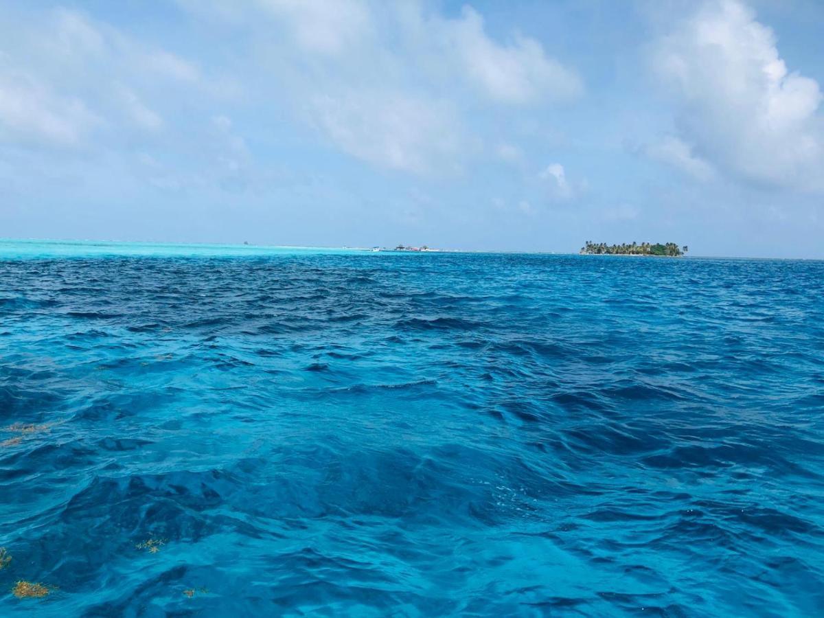 Joebi'S House Walking Distance To Rocky Cay Beach Ideal For Families Or Groups Buenavista  Exterior foto