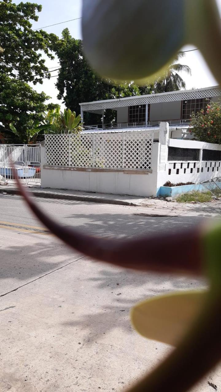 Joebi'S House Walking Distance To Rocky Cay Beach Ideal For Families Or Groups Buenavista  Exterior foto